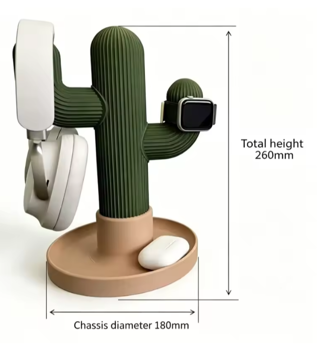 cactus organizer for decoration
