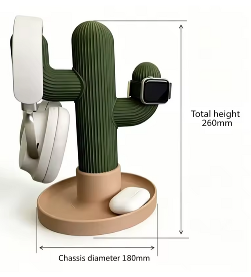 cactus organizer for decoration