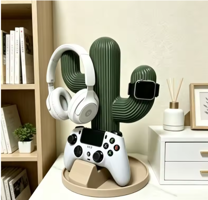 cactus organizer for decoration